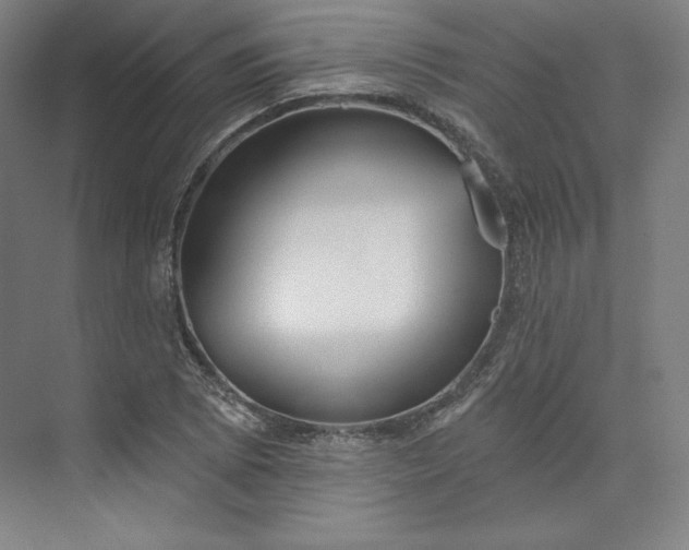 X0000073991073200609060952