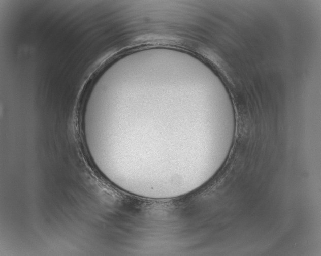 X0000073991074200609060951