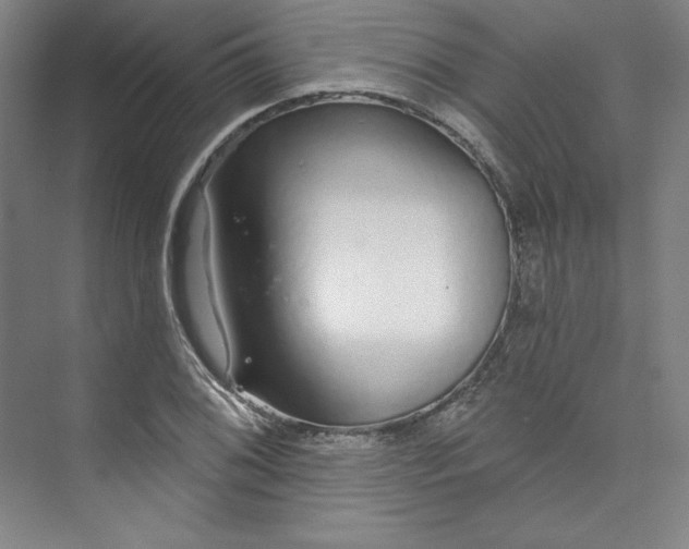 X0000073991076200609060951