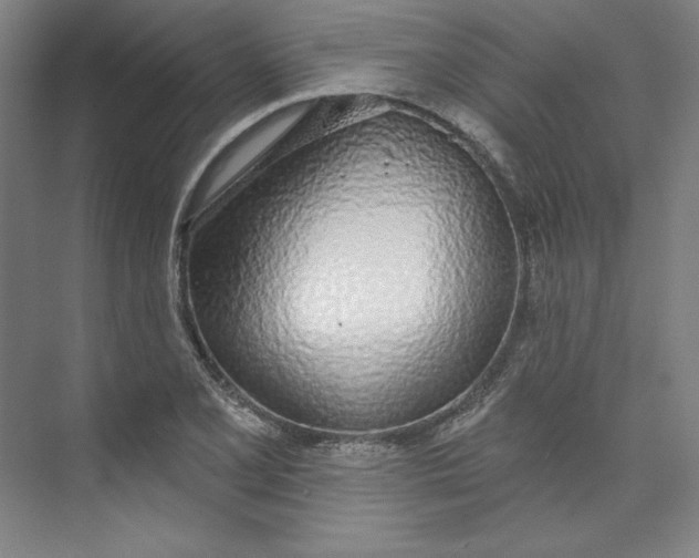 X0000073991077200609060951