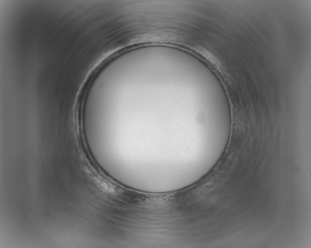 X0000073991078200609060951