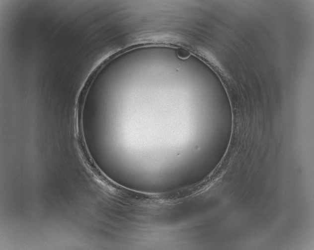 X0000073991079200609060951