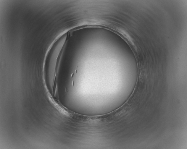 X0000073991080200609060951