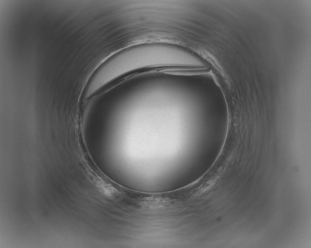 X0000073991081200609060951