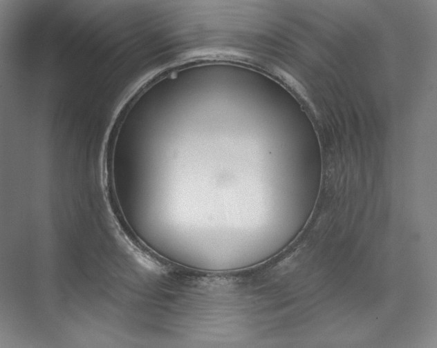 X0000073991082200609060951