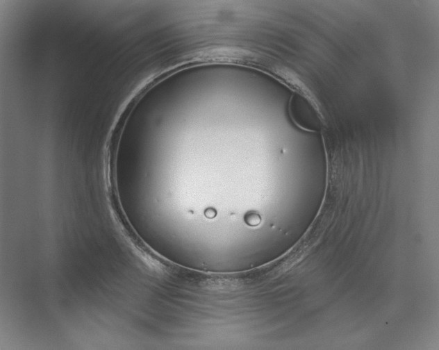 X0000073991083200609060951