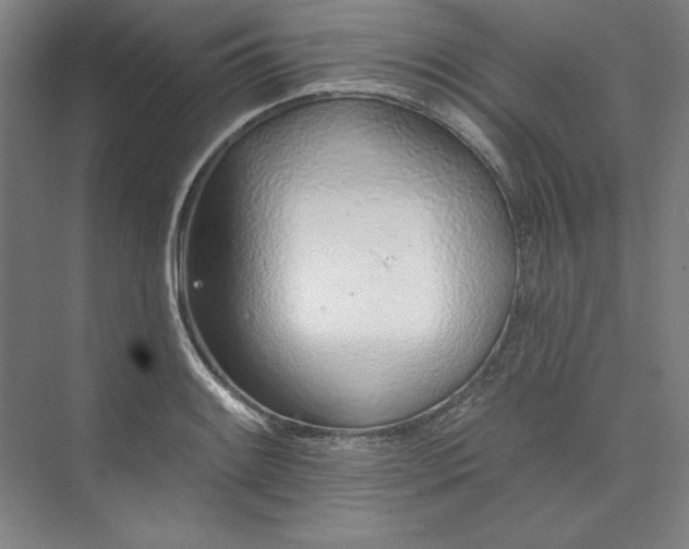 X0000073991084200609060951