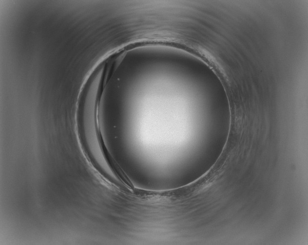 X0000073991085200609060951