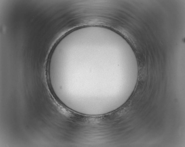 X0000073991086200609060951