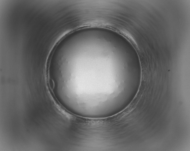 X0000073991087200609060951