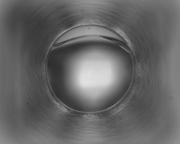 X0000073991089200609060951