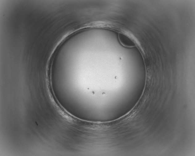 X0000073991091200609060951