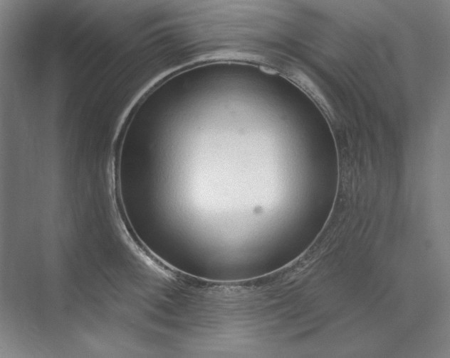 X0000073991092200609060951