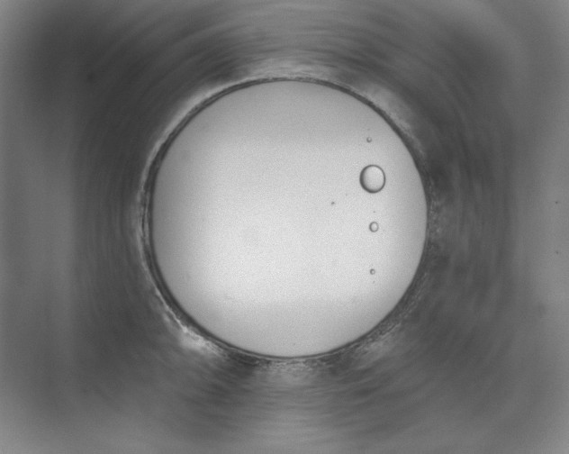 X0000073991094200609060951