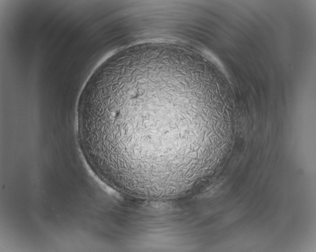 X0000073991095200609060951