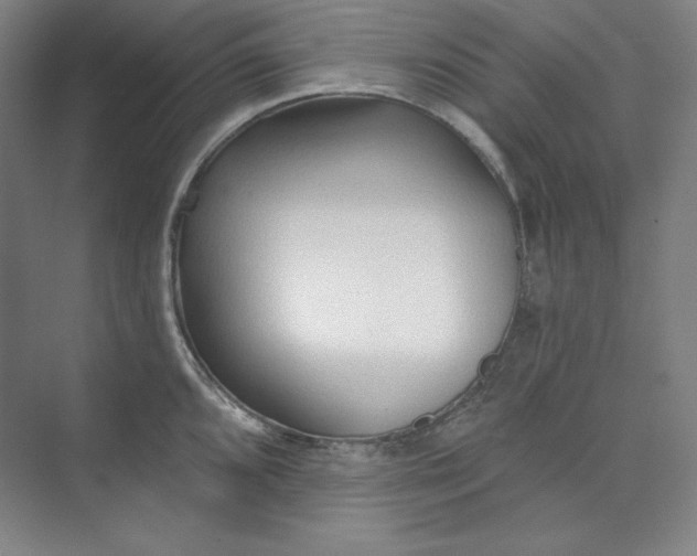 X0000073991096200609060951