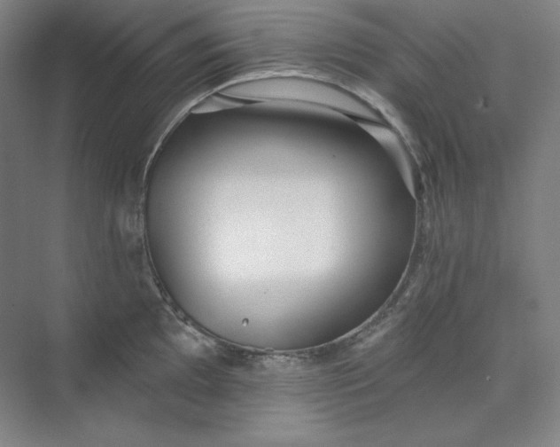 X0000073991097200609060951