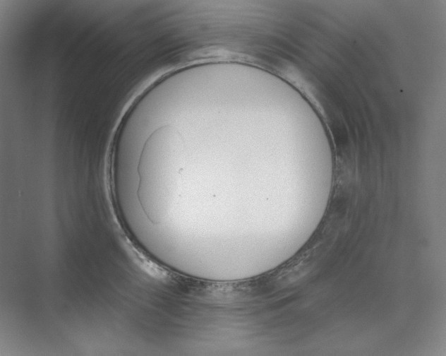 X0000073991098200609060951