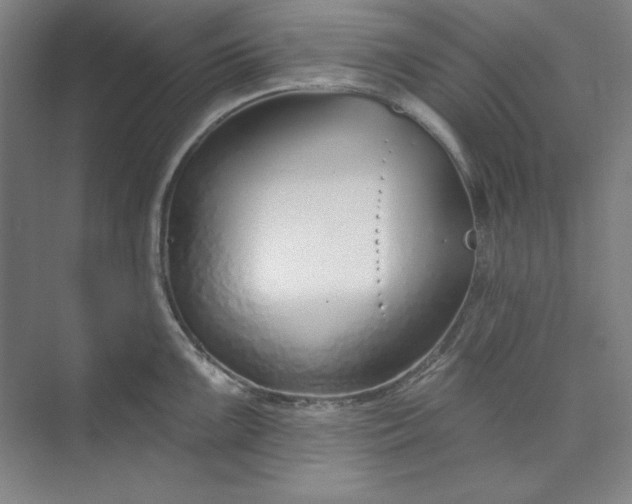 X0000073991099200609060951