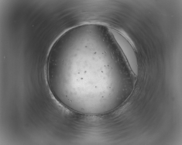 X0000073991100200609060951