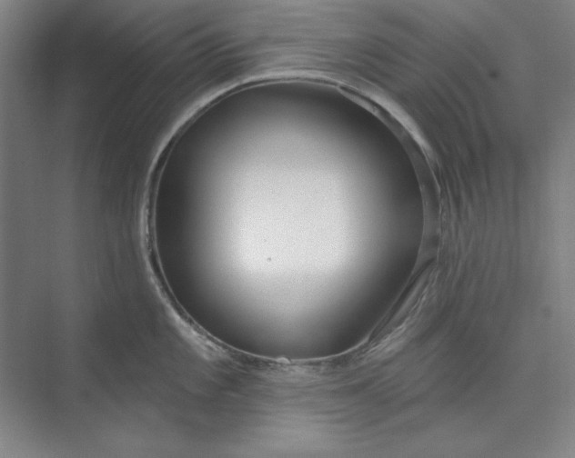 X0000073991101200609060951