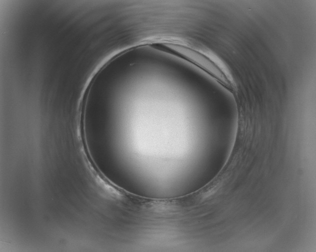 X0000073991102200609060951