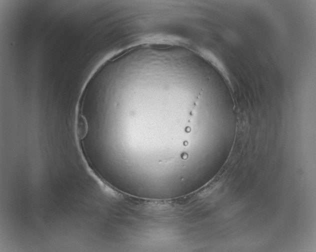 X0000073991103200609060951