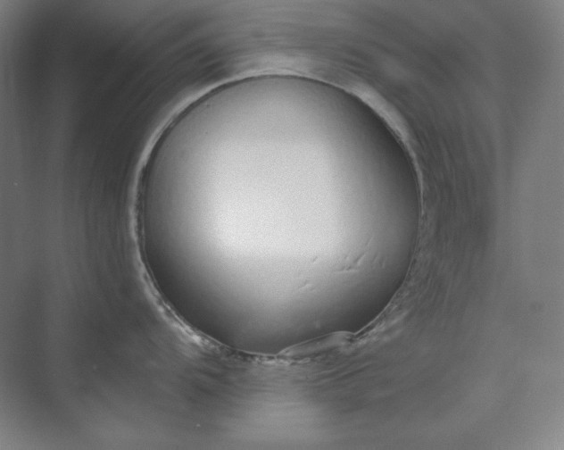 X0000073991104200609060951