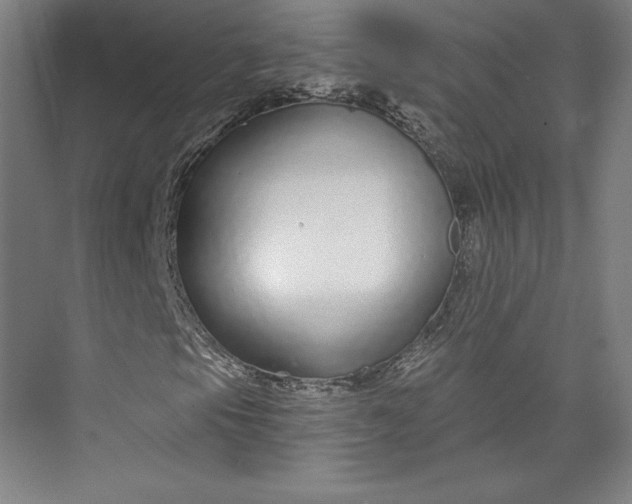 X0000073991105200609060950