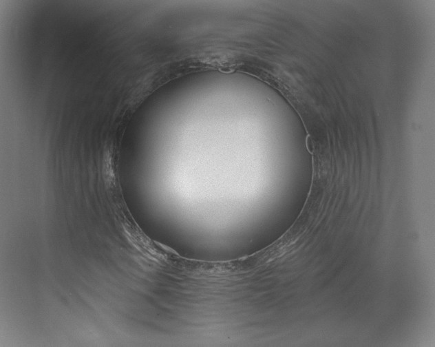 X0000073991106200609060950