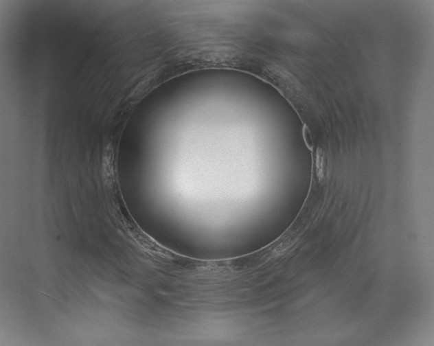 X0000073991107200609060950