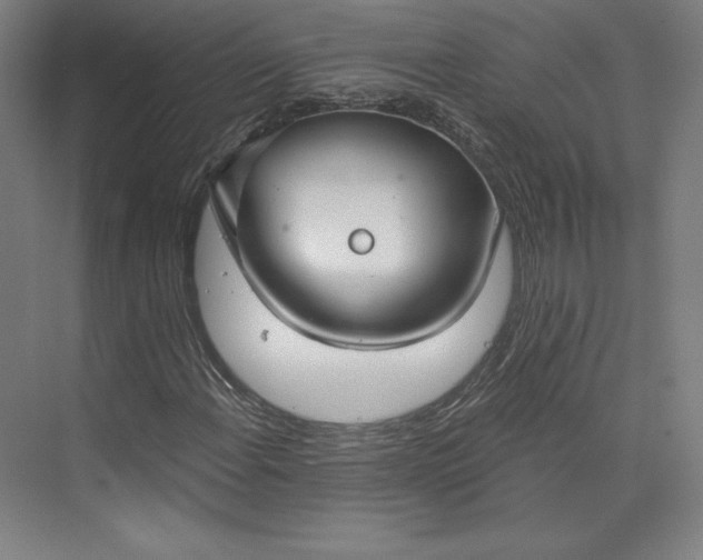 X0000073991108200609060950