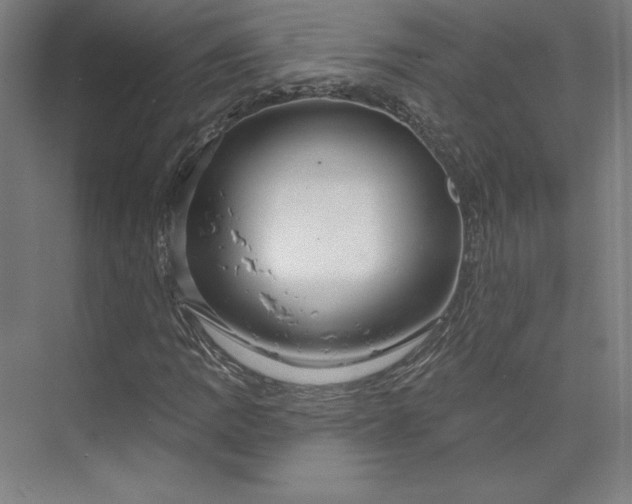 X0000073991109200609060950