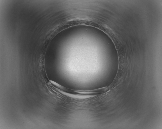 X0000073991110200609060950