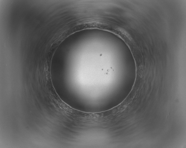 X0000073991111200609060950