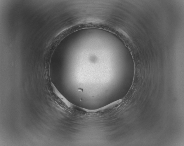 X0000073991112200609060950