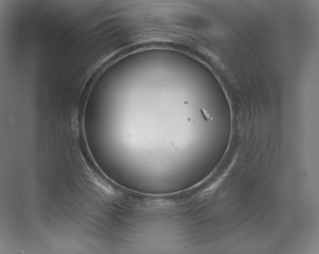 X0000073991113200609060950