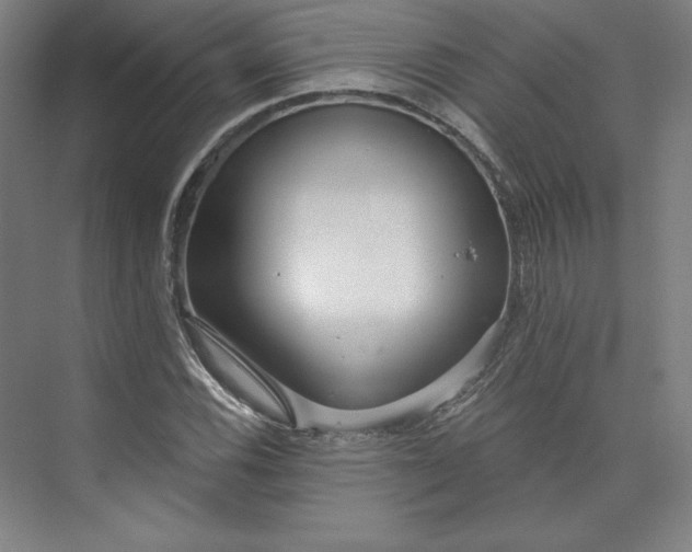 X0000073991116200609060950