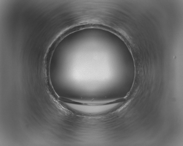 X0000073991118200609060950