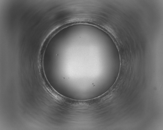 X0000073991119200609060950