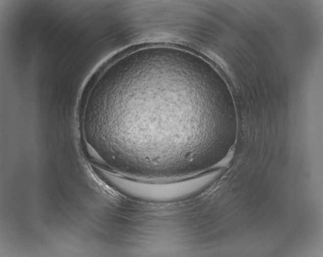 X0000073991120200609060950