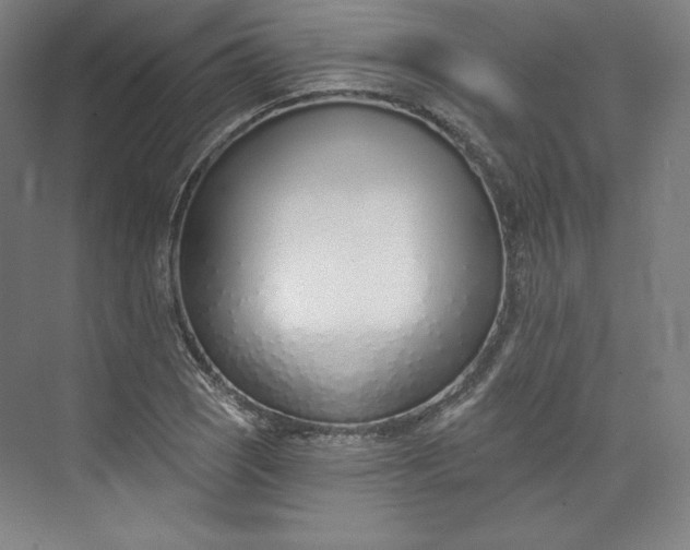 X0000073991121200609060950