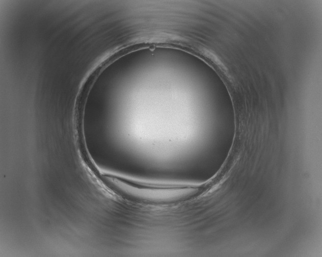 X0000073991122200609060950