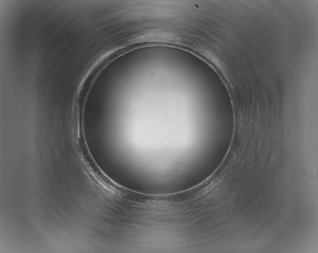 X0000073991123200609060950