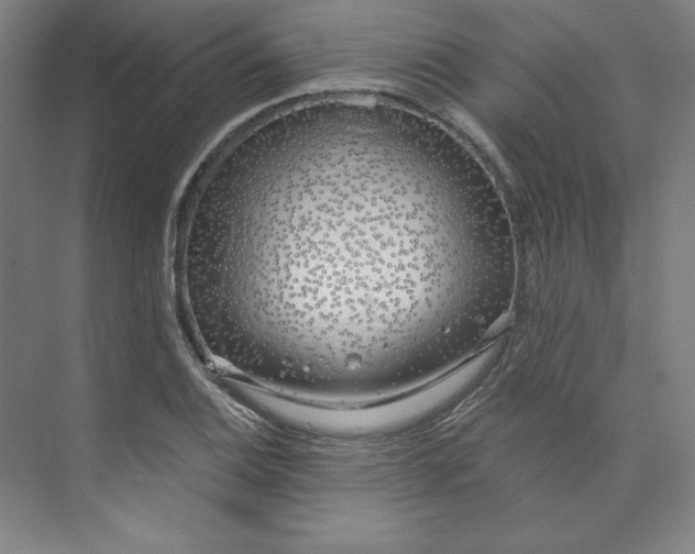 X0000073991124200609060950