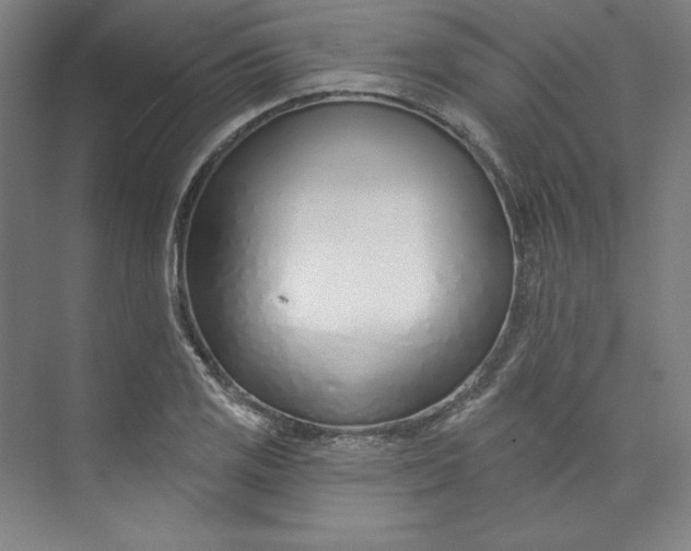 X0000073991125200609060951