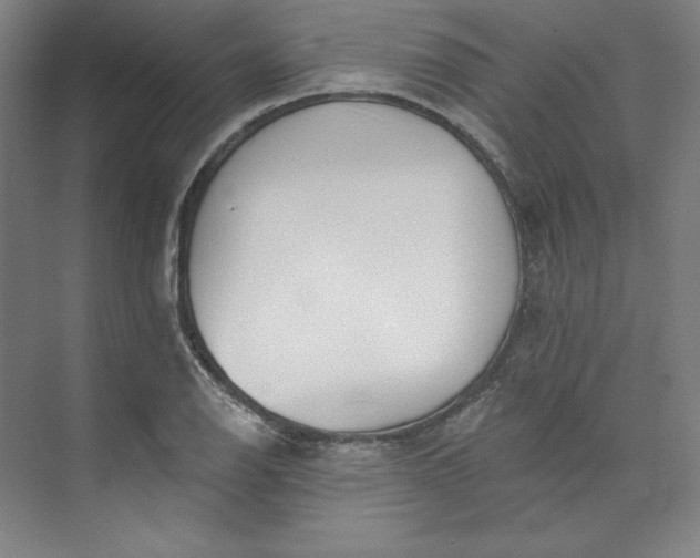 X0000073991126200609060951