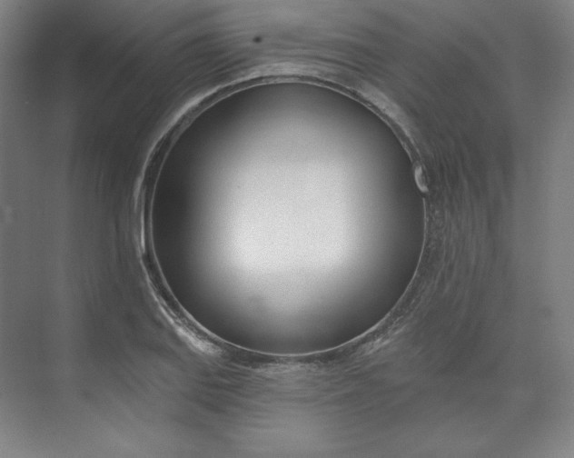 X0000073991127200609060951