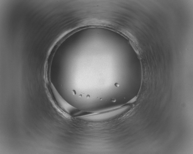 X0000073991128200609060951