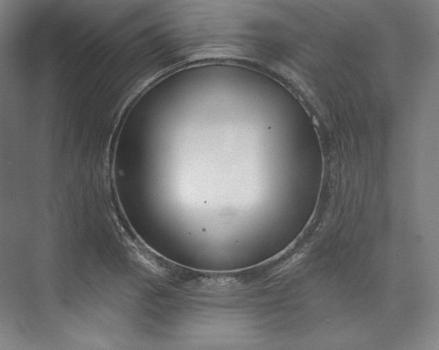 X0000073991129200609060951